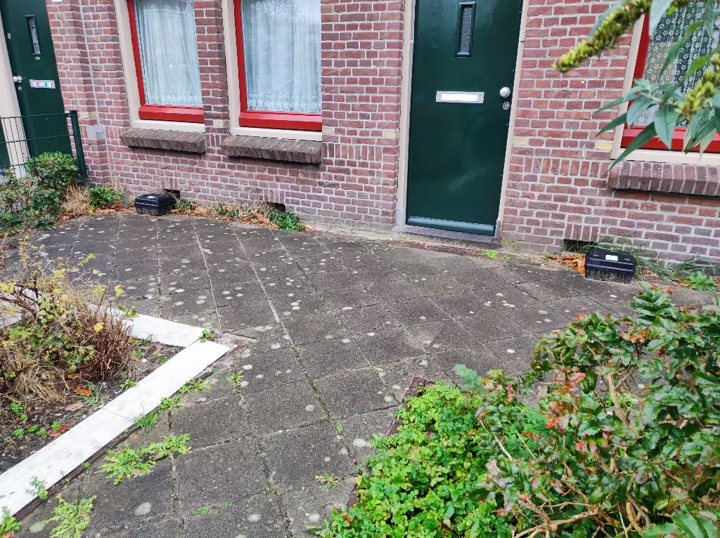 Vogelbuurt: rattenvallen in voortuin