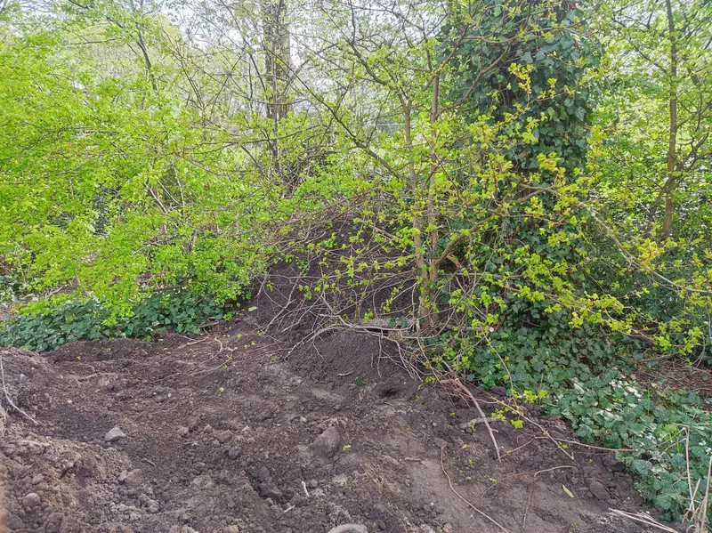 De egelburcht is af en ligt verstopt in het groen.