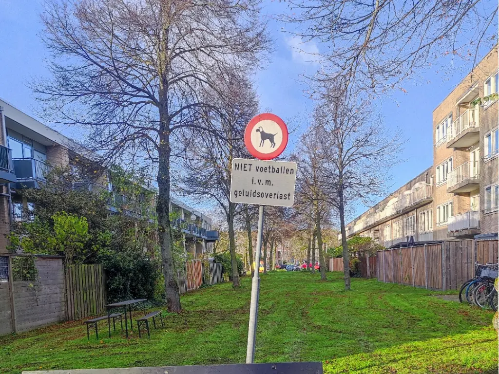 IJpleinbuurt: schuttingen