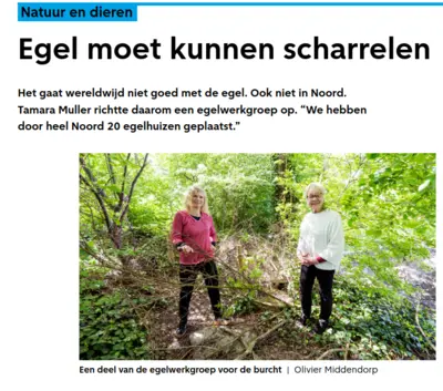 Gemeentekrant Amsterdam editie Noord, juni 2026