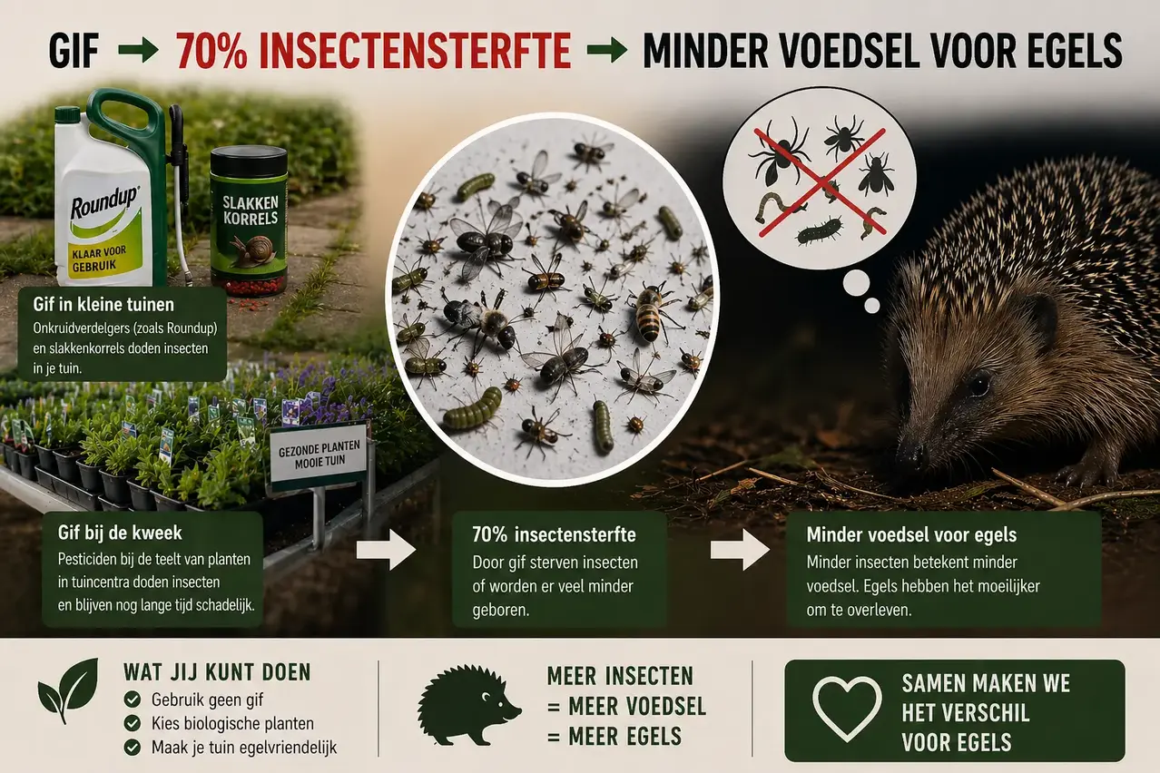 relatie gif, insectensterfte en uitgehongerde egels