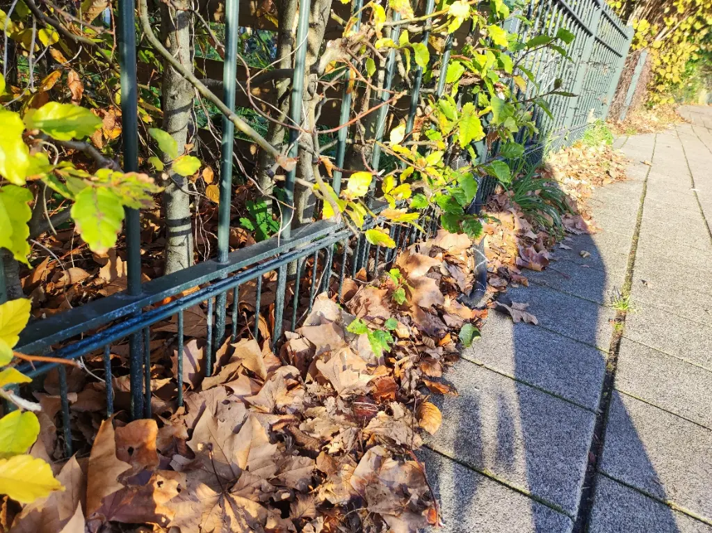 staafmatten Meeuwenlaan