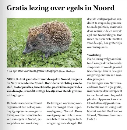 Rodi Amsterdam-Noord 2 sept. 2026