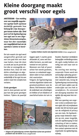 Rodi digitaal, juli 2026