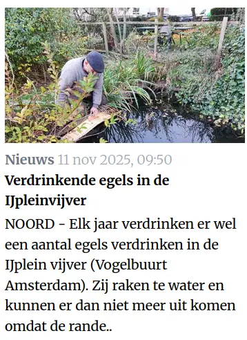 Rodi krant 12 nov. 2025