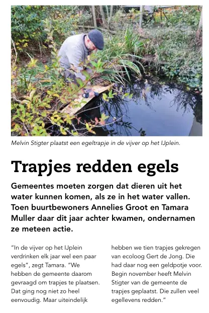 Nieuws uit de Wijk Vogelbuurt IJplein Hamerkwartier dec 2025