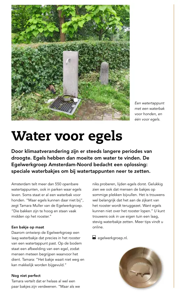 Nieuws uit de Wijk Vogelbuurt IJplein Hamerkwartier aug 2026
